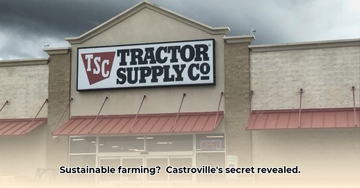 tractor-supply-castroville-texas